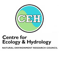 Asian Hornet monitoring - Centre for Ecology and Hydrology