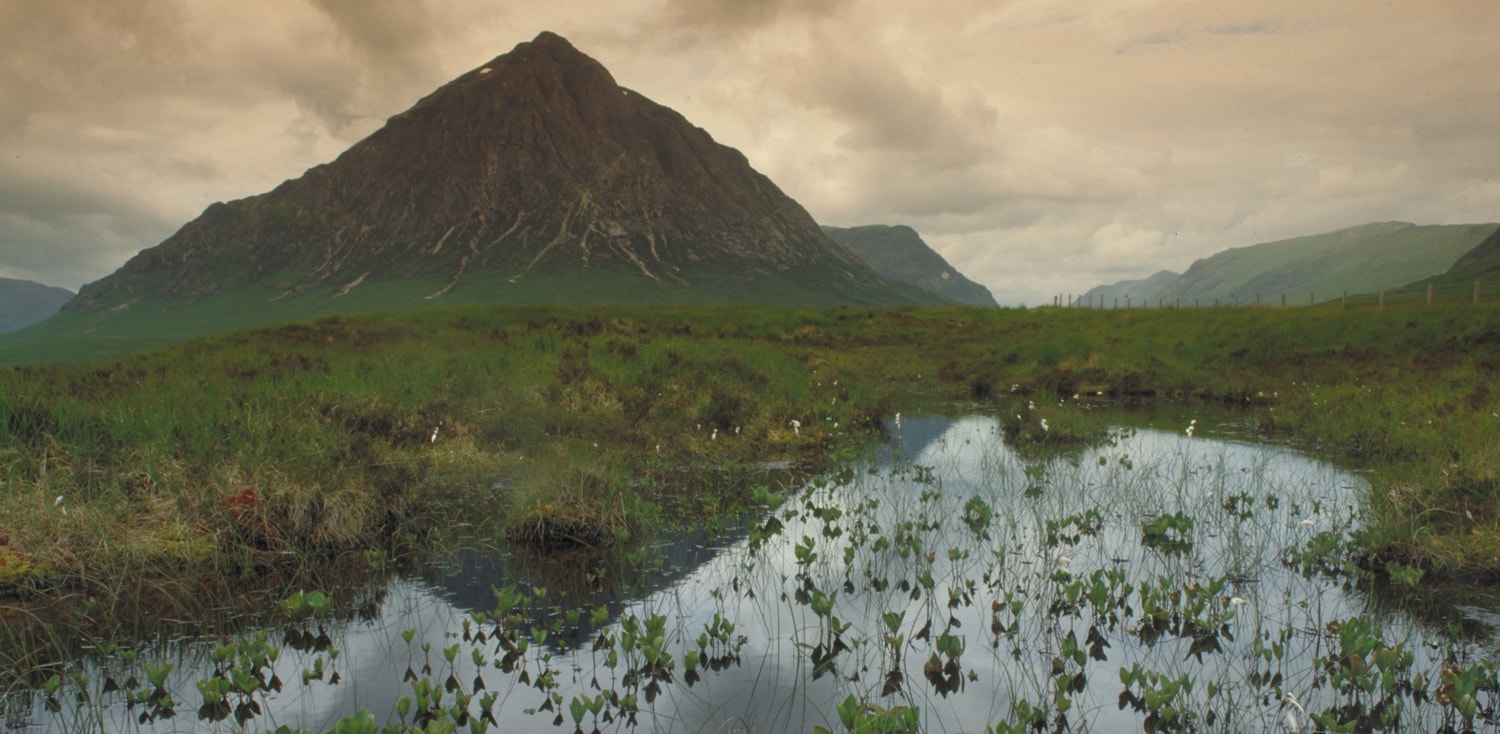 Glencoe