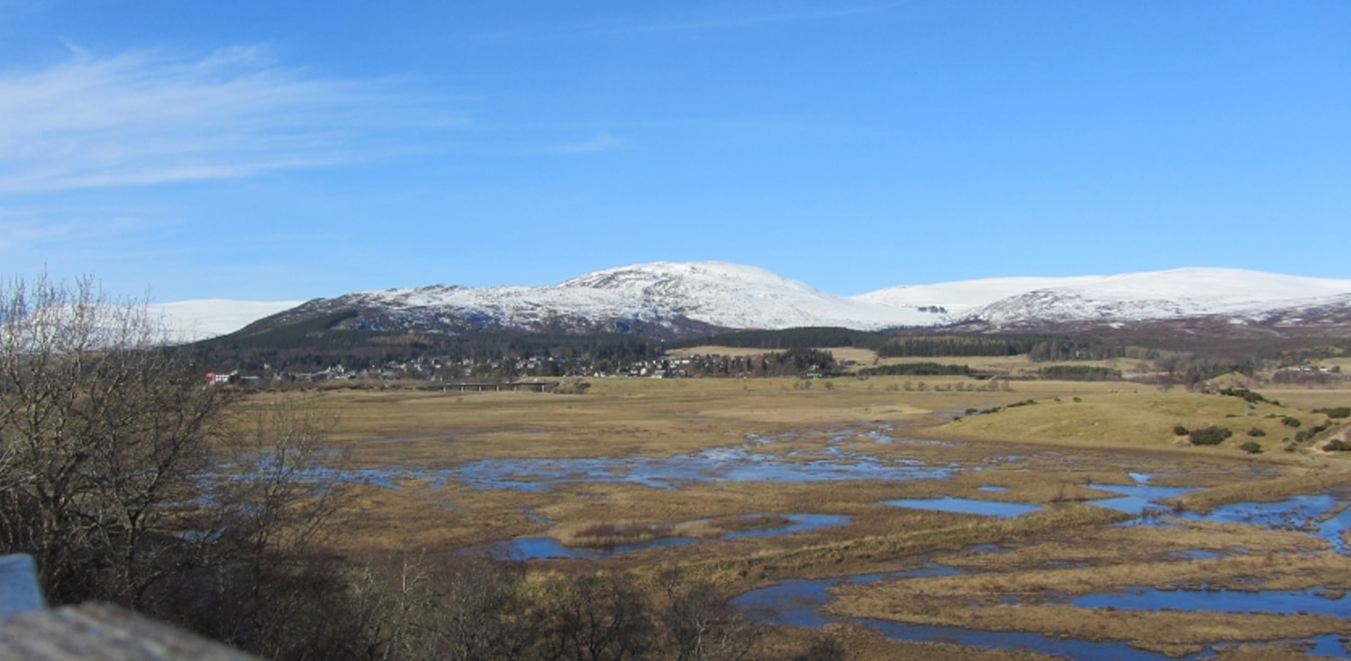 Insh Marshes