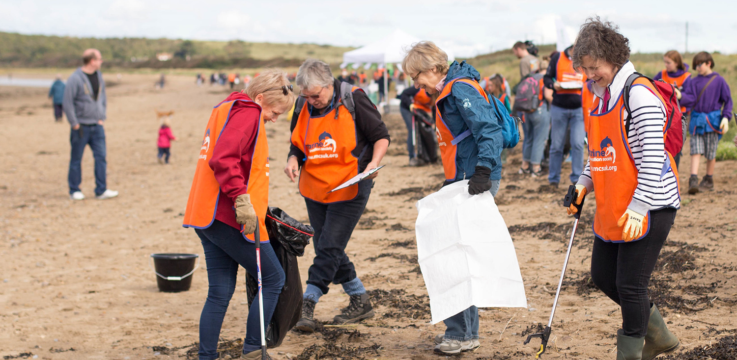 Great British Beach Clean