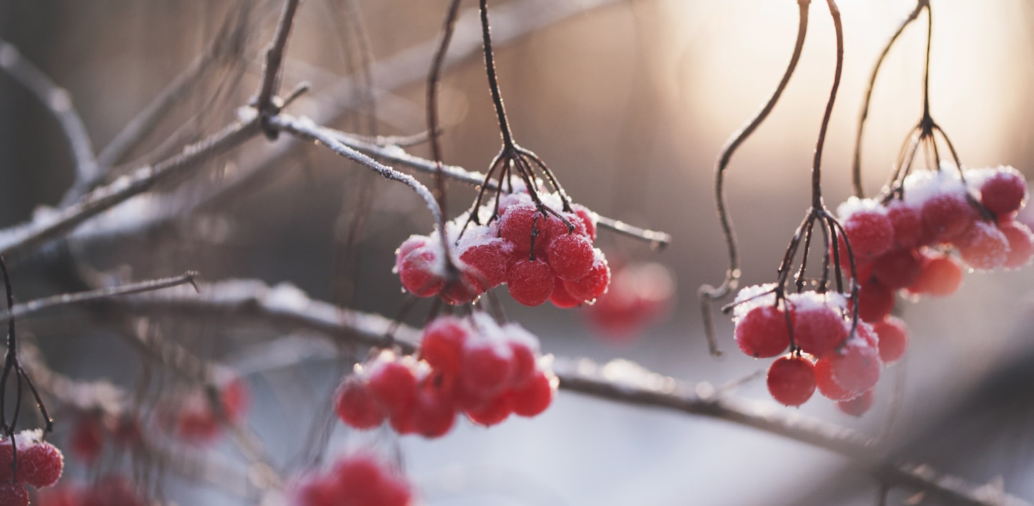 Weather Observations