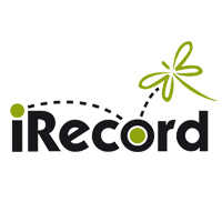 iRecord