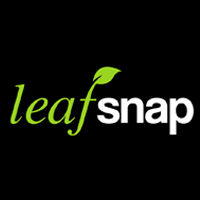 LeafSnap