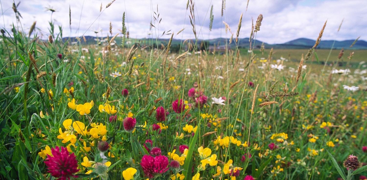 Explore ecosystem health indicators