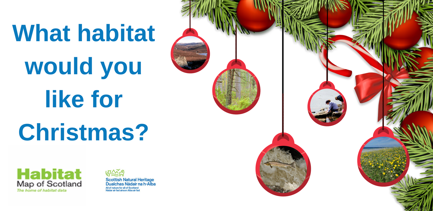 What habitat would you like for Christmas?