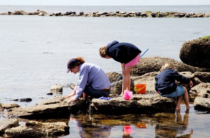 Family group exploring the seashore near Kildonan  on the Isle of Arran ©Lorne Gill/SNH