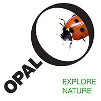 OPAL Explore Nature Logo - Ladybird
