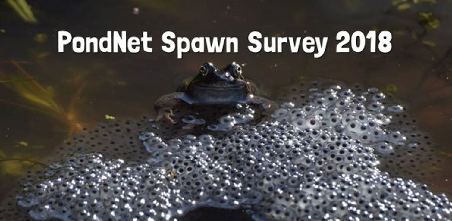 Project finder Scotland's environment web