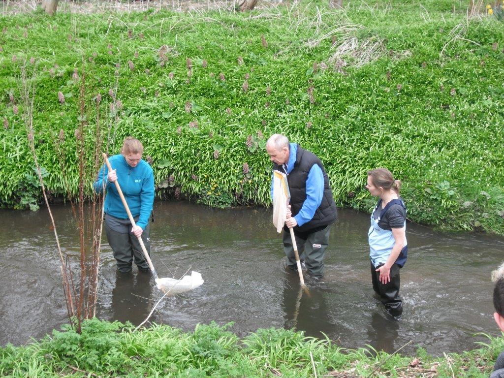 Anglers Riverfly Monitoring Initiative in Scotland