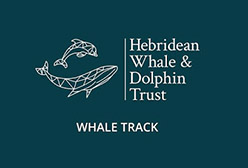 Whale Track