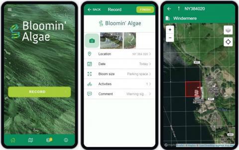 Bloomin Algae app