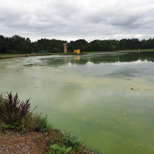 Strarthclyde Loch September 2021