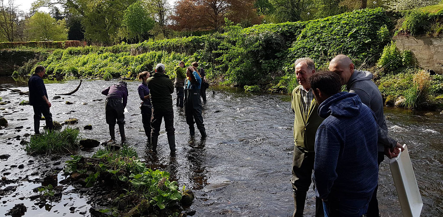 Riverfly on the Esk